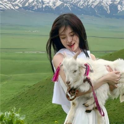 爱马的女孩